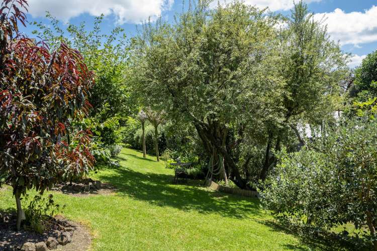 8 Dilworth Terrace Parnell_20