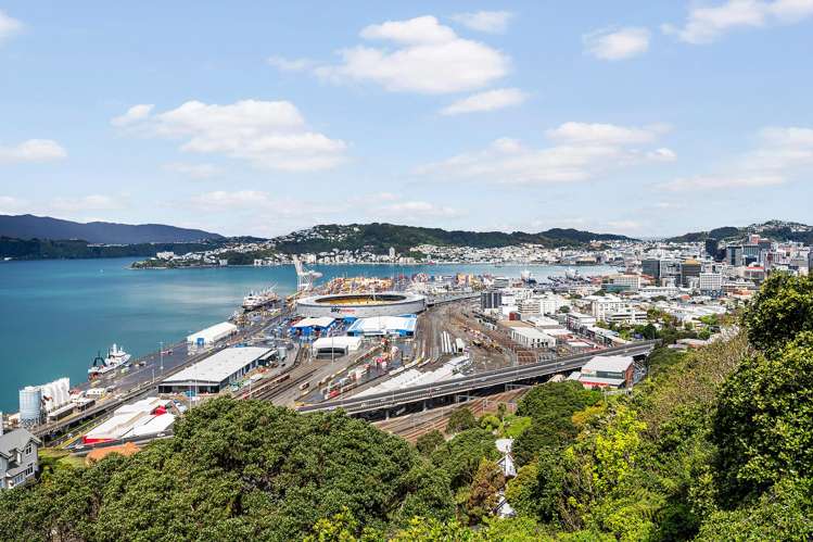 12 Anne Street Wadestown_18