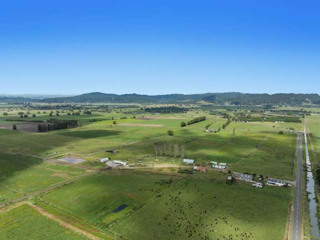 379B Powdrell Road Awakeri_4