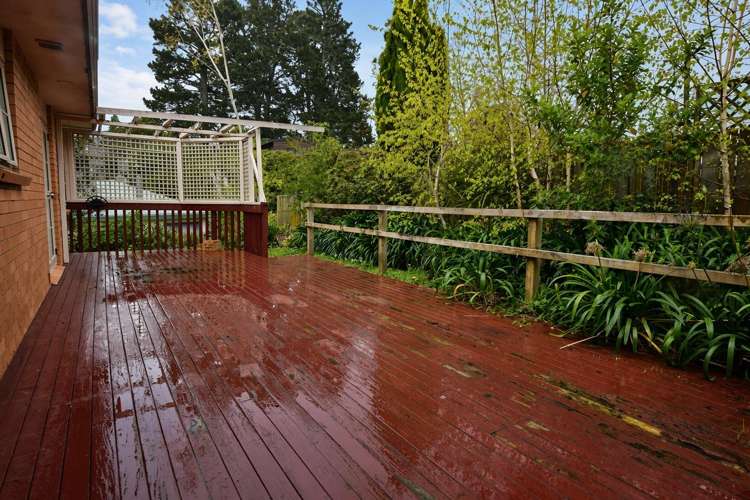 1 Princess Maria Place Massey_10