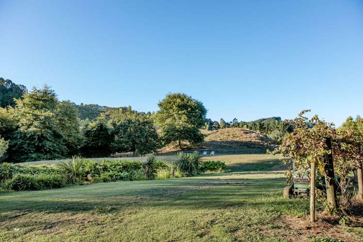 186 Twilight Road Clevedon_32