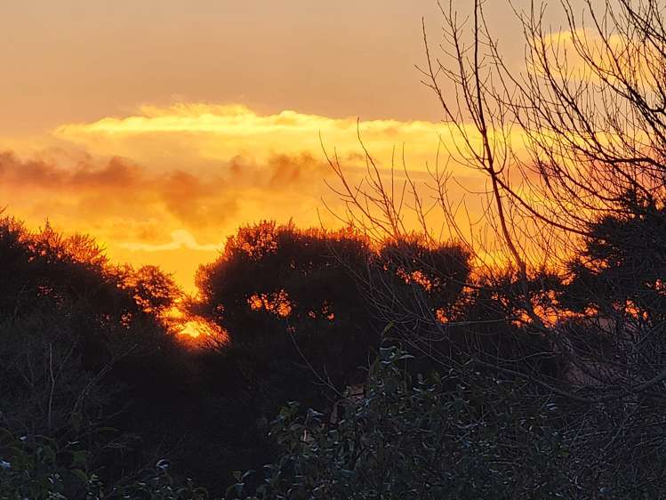 232 Amreins Road Taupaki_5