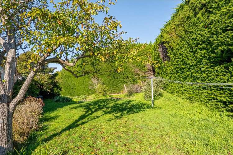 70 Belleview Terrace Mount Pleasant_32