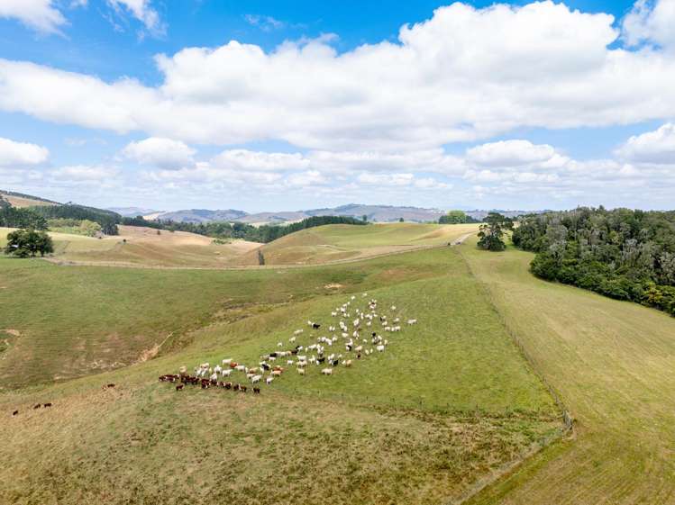 640 Brunskill Road Te Miro_13