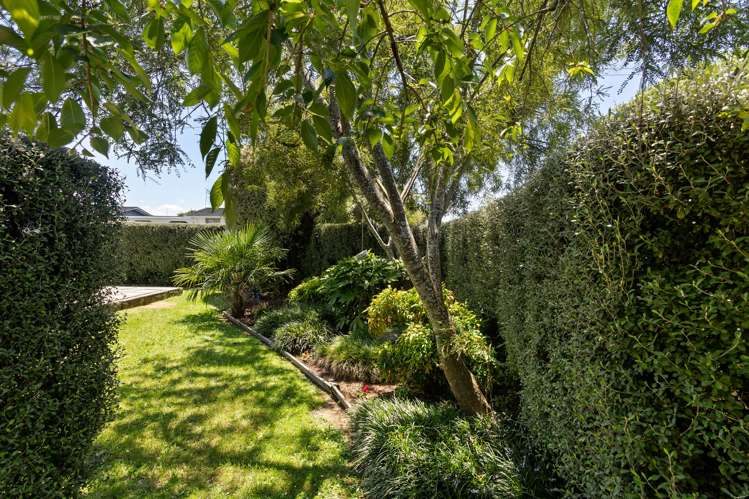 54 Browning Street Cambridge_25