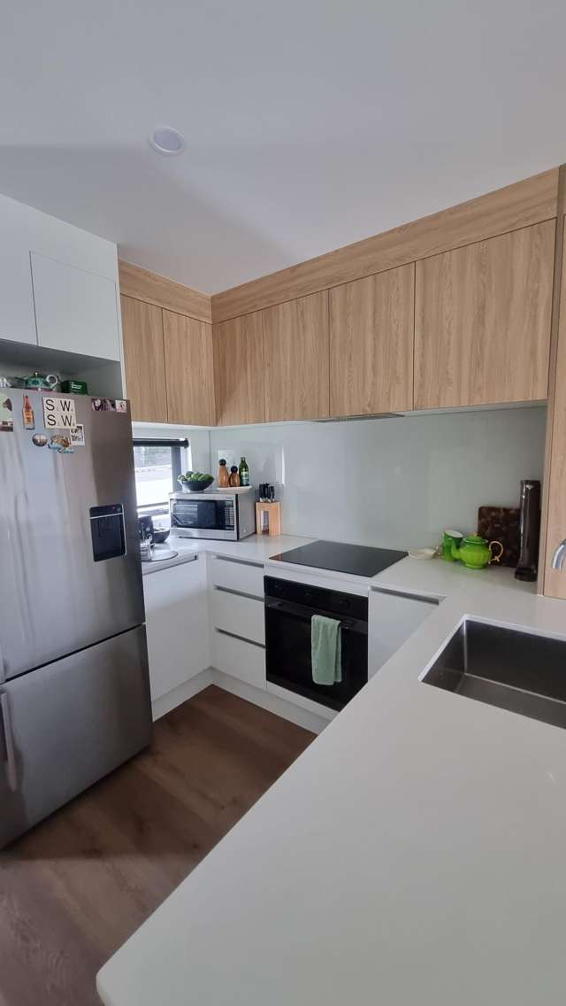  72 Selo Street Glen Eden_1