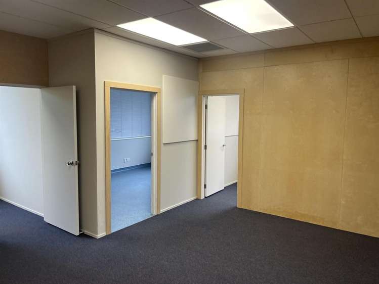 Unit 4 at 219 Collingwood Street Hamilton Central_2