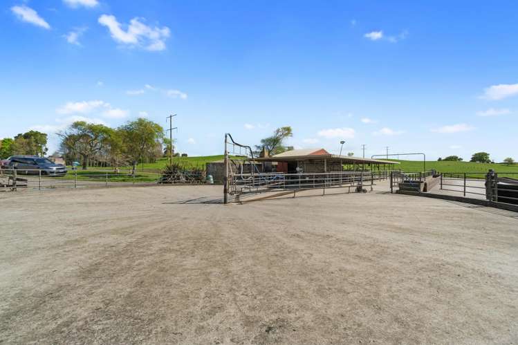 520 Lake Road Horsham Downs_16