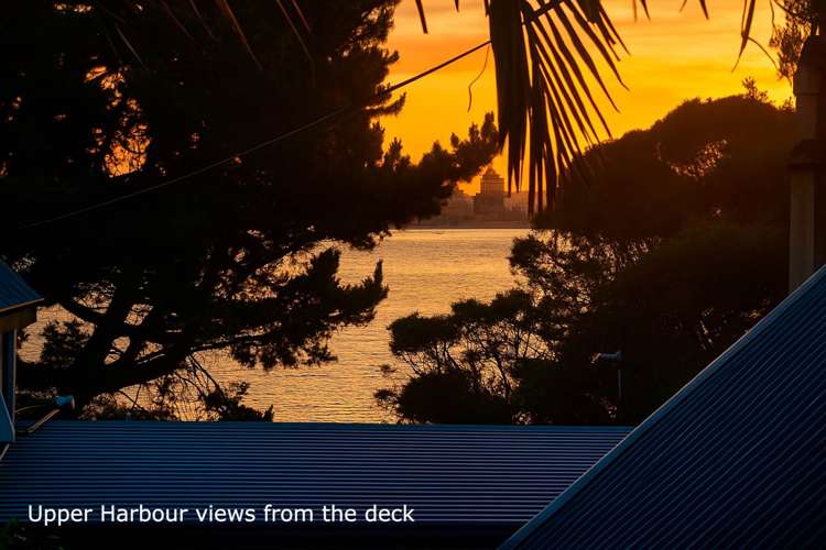 222B Manuka Road Bayview_1