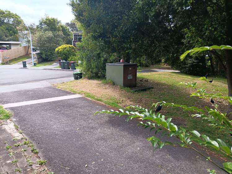 11a Orcades Place Lynfield_3