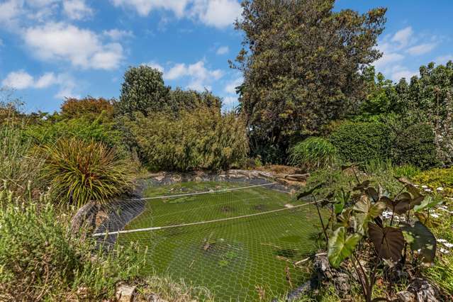 267 Union Road Mauku_1