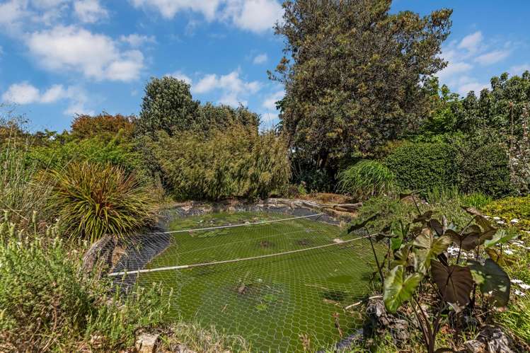 267 Union Road Mauku_31