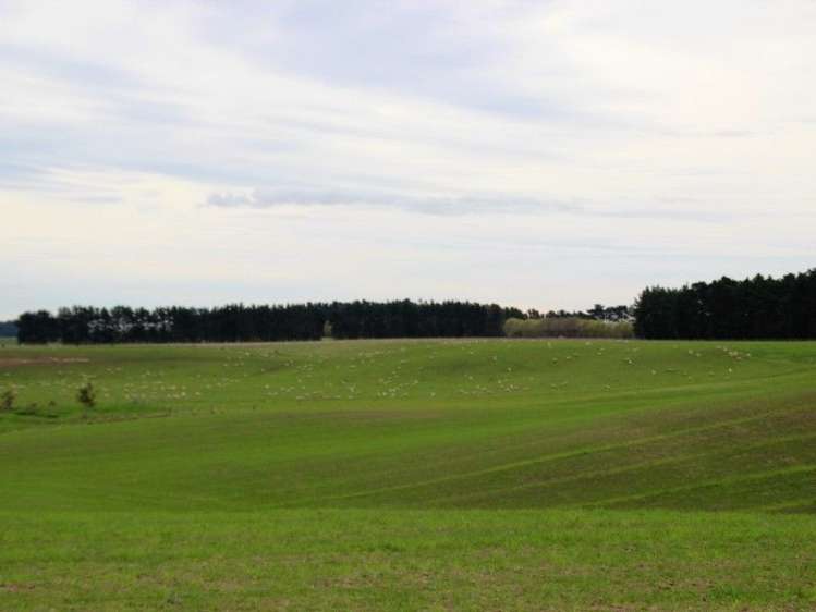 591 Wanganui Road Marton_19