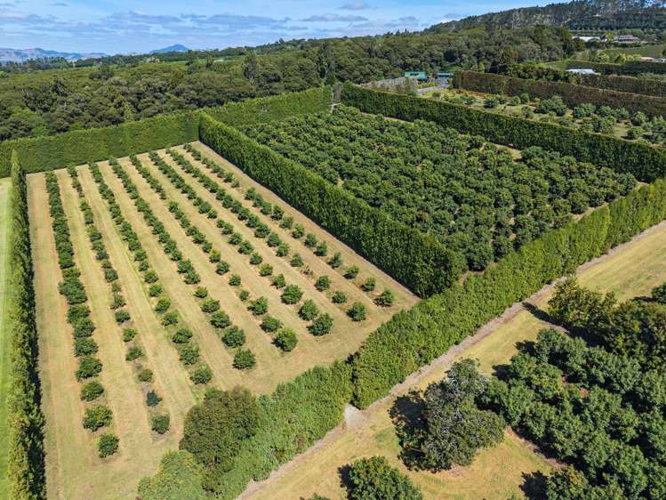 88 Stone Wall Rse Maungatapere_17