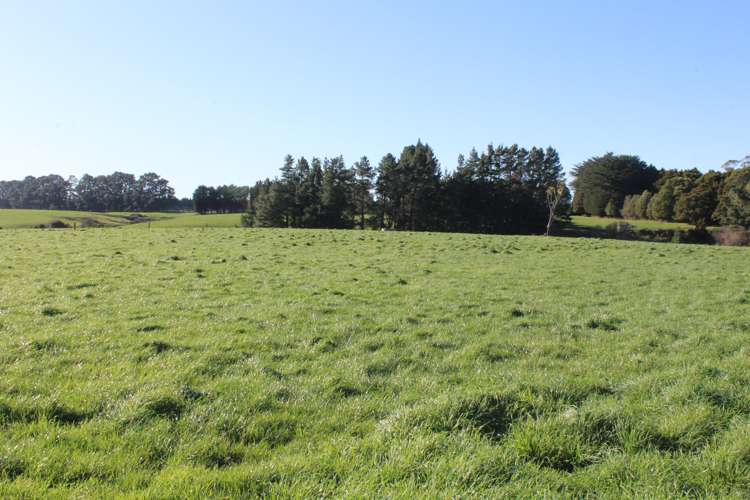 109 Vaughan Road Takapau_6