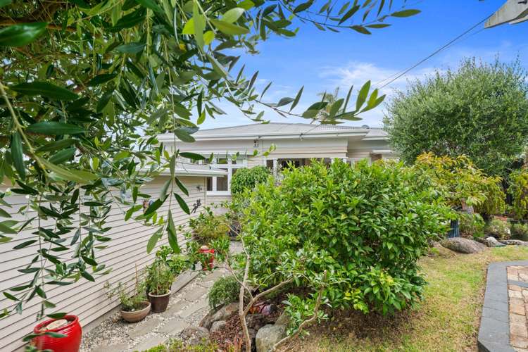 1/5 Northumberland Avenue Hauraki_34