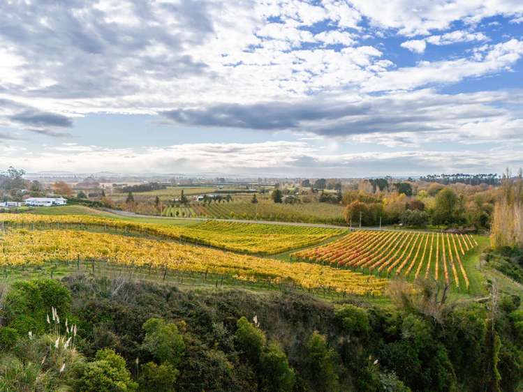 56 River Road Havelock North_13