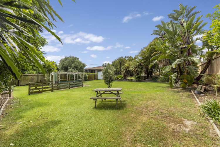 17 Argyle Avenue Levin_14