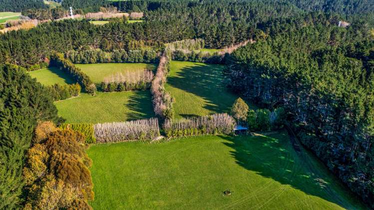 709 Ingahape Road Ohangai_5