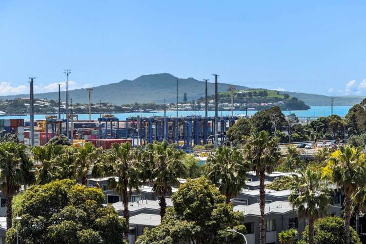 7 Dilworth Terrace Parnell_11