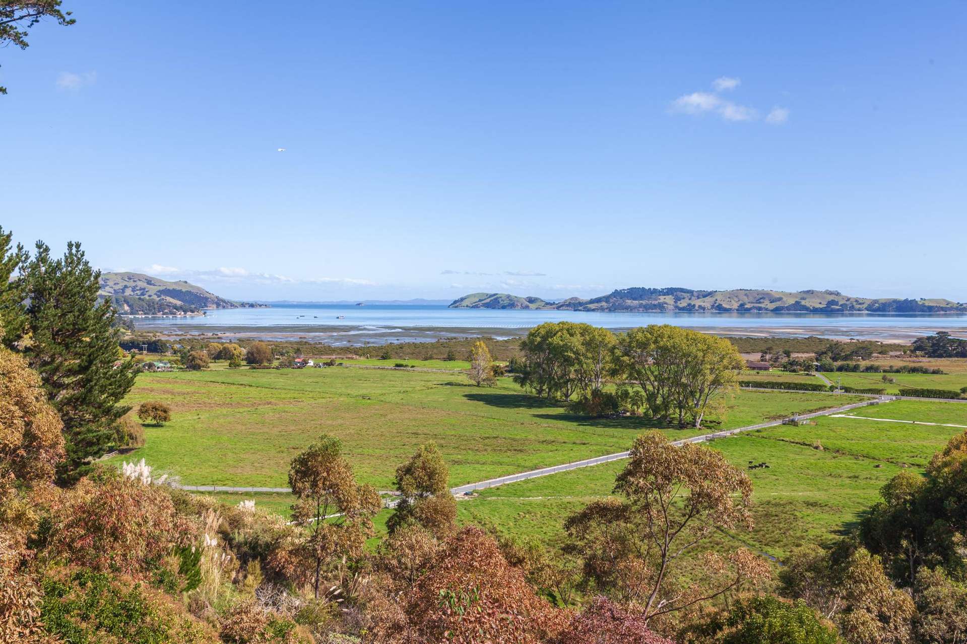 1740 SH25, Manaia Road Coromandel_0