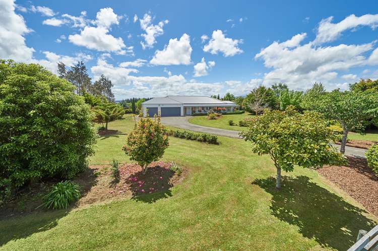 55 Polson Hill Drive Aokautere_2