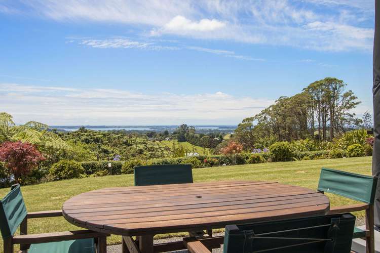 439 Wainui South Road Whakamarama_18