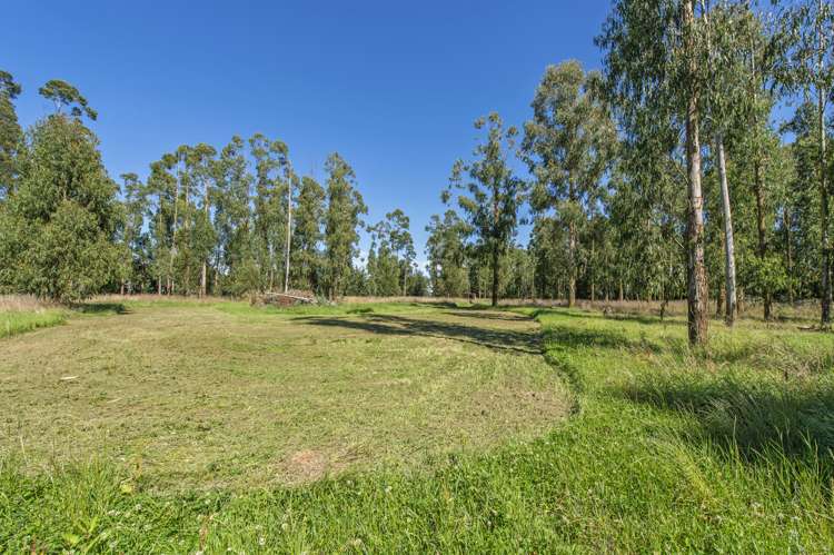 210 Hororata Dunsandel Road Dunsandel_7