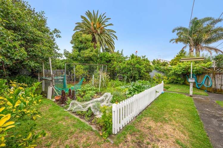 118 Vigor Brown Street Napier South_6