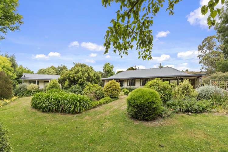 20 Terrace Road Leithfield_21