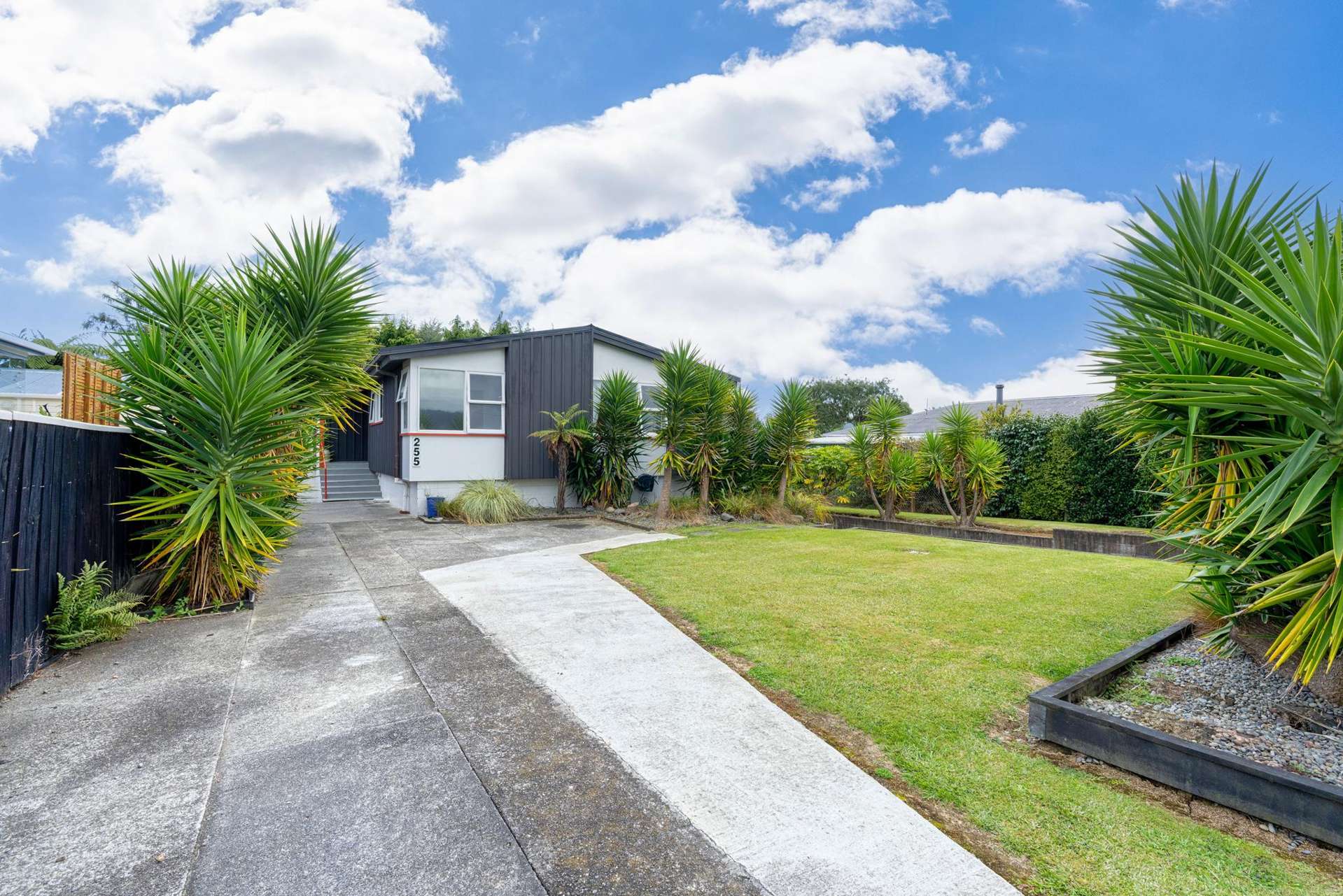 255 Cambridge Street Levin_0