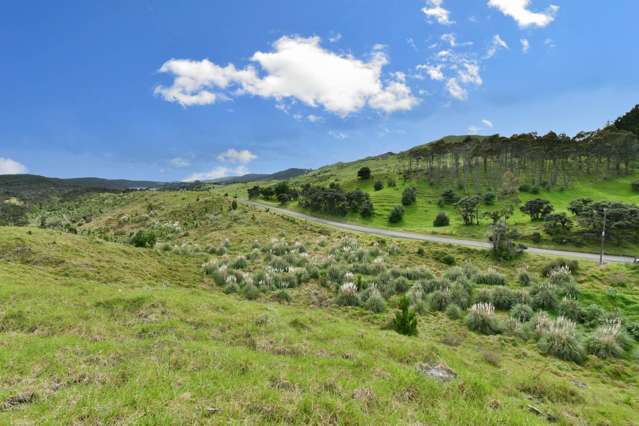 Lot 2/DP170782 Wilson Road South Head_1
