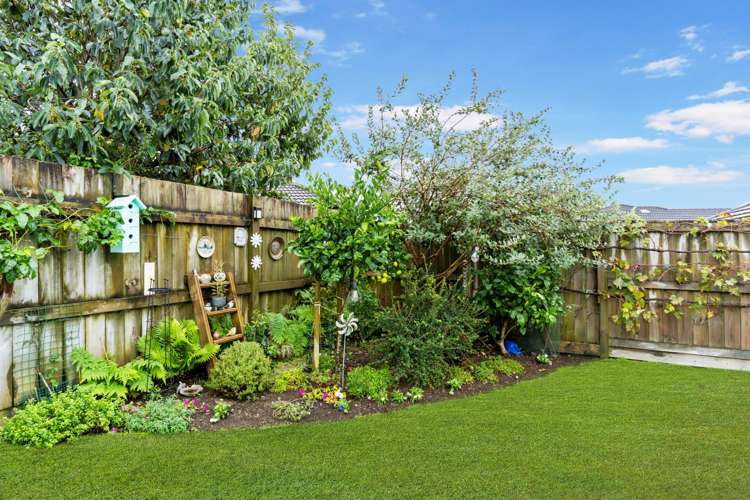 7 Middlebrook Drive Katikati_11