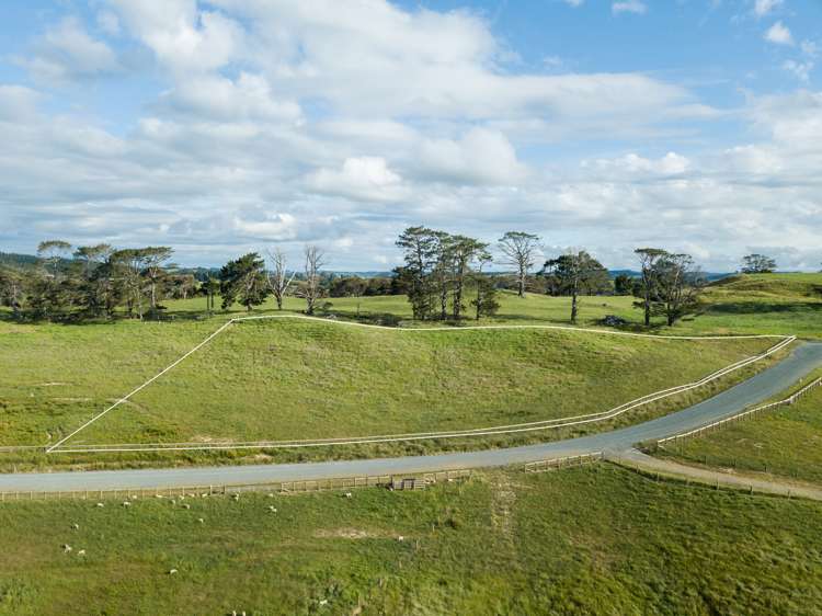 158 Hellyer Road Kaukapakapa_2