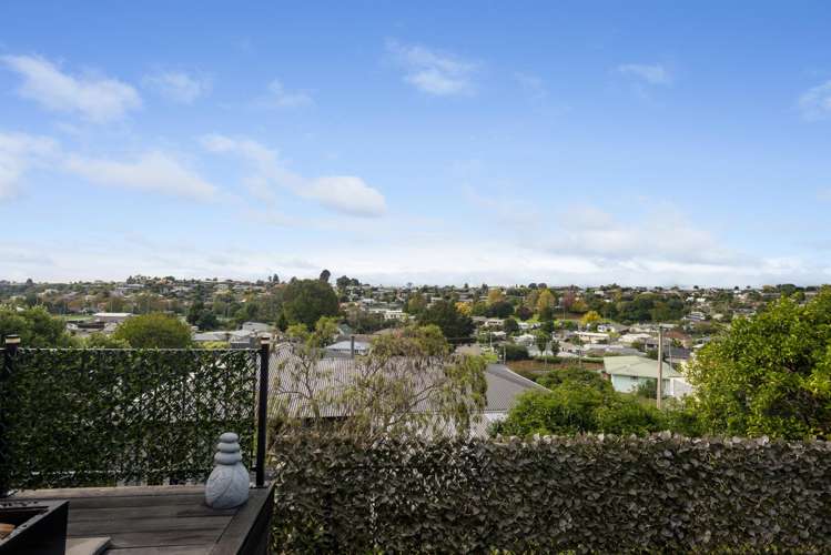 36B Windsor Road Bellevue_9