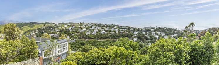 16b Hadfield Terrace Kelburn_13