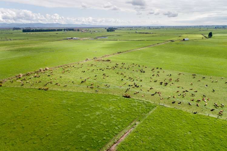 227 Endowment Road Te Aroha_2