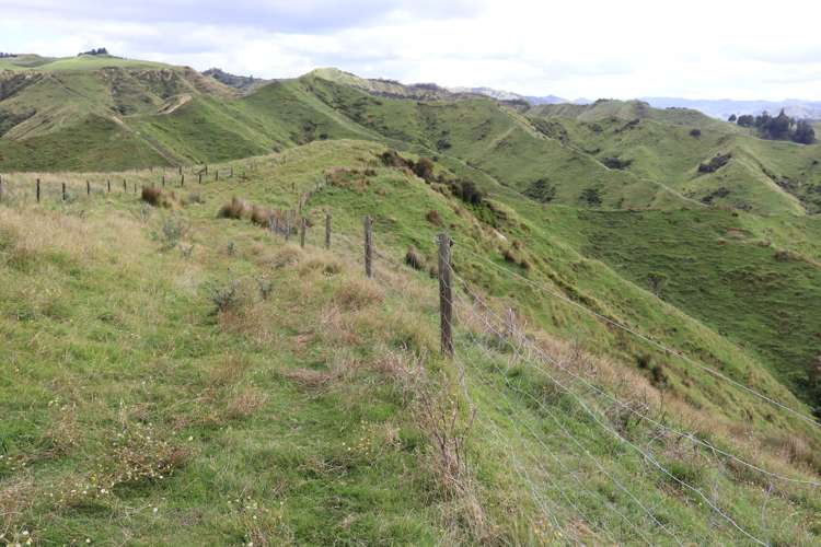 1110 Mangaehu Road Pohokura and Surrounds_11