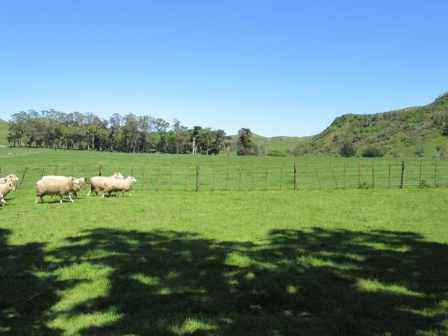 8/3382 Pourerere Road Central Hawkes Bay Coastal_2