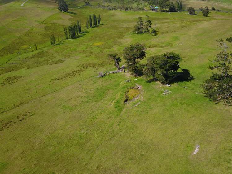 State Highway 10 Kaingaroa_21