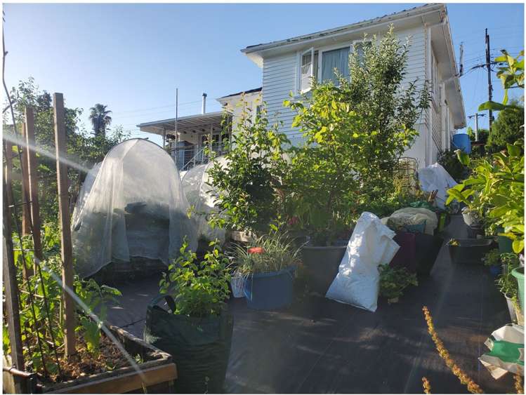 36 Evans Road Glen Eden_13