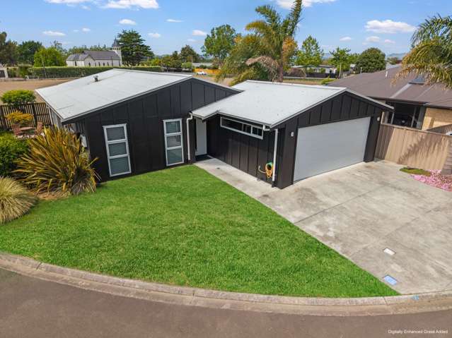 Between the Bay’s Best