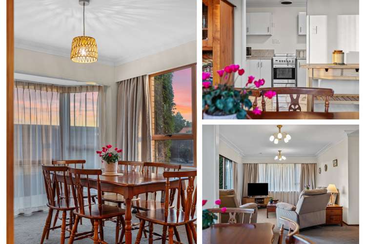 213a Fifteenth Avenue Tauranga South_5