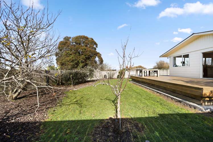 455 Kahikatea Drive Dinsdale_12