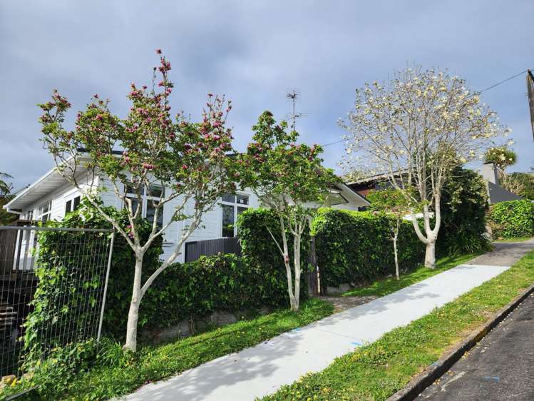 300 Courtenay Street Strandon_0