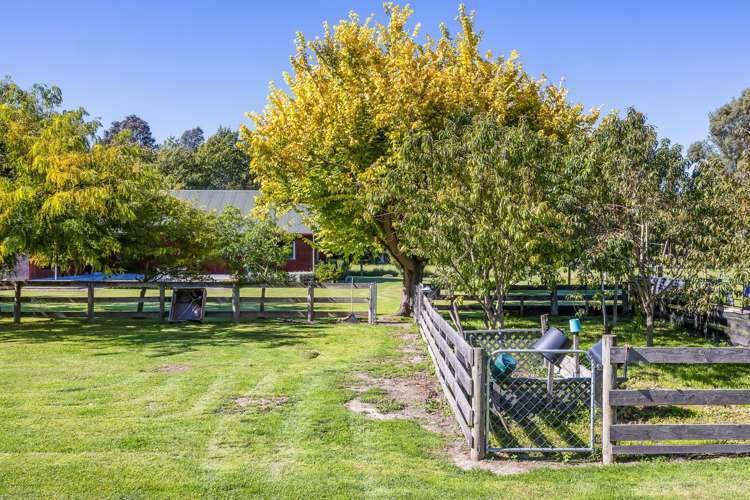 135 Greens Road Tuahiwi_16