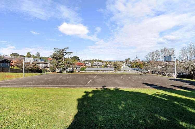 27a Olsen Avenue Hillsborough_33