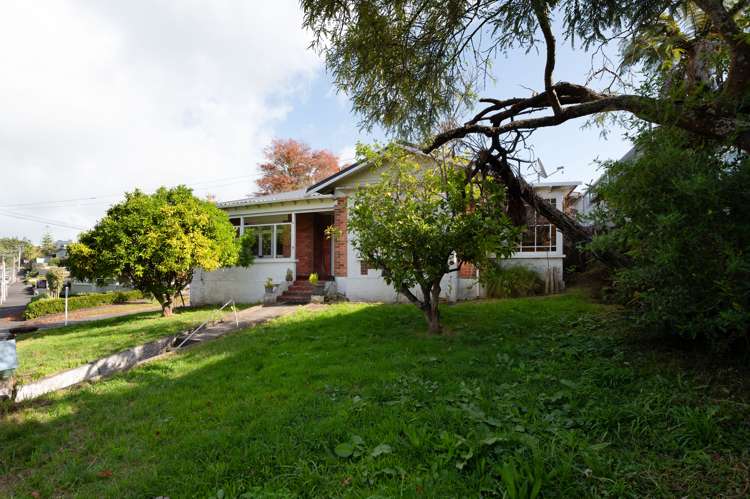 8 Pembroke Lane Hamilton Lake_12