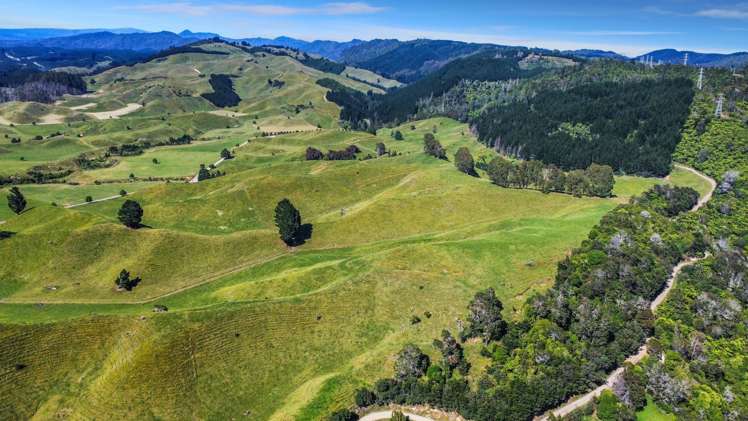 109 McIvor Road Rotoma_18