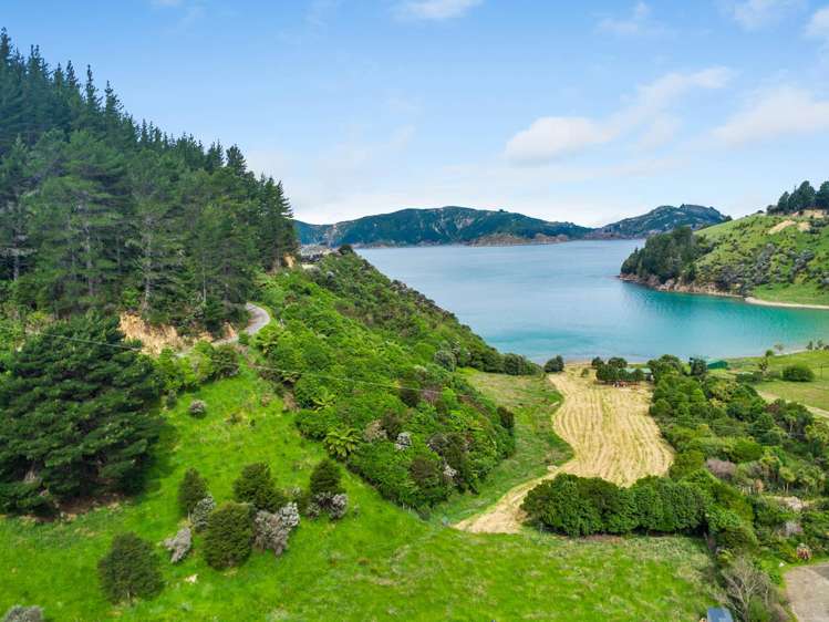 Kakapo Bay Port Underwood_9